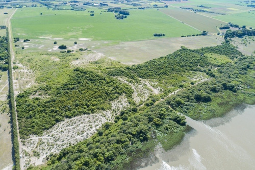Imagen 7 de 16 de Campos Venta Carmelo Sobre Río De La Plata