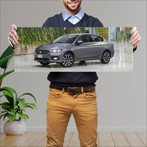 Cuadro 30x80cm Auto 2015 Fiat Tipo Auto 88