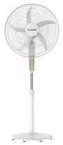 Comprar Ventilador De Pie James Vp20m 3 Vel. 1,7mt. Cantidad de aspas 5 Color de la estructura Blanco Color de las aspas Blanco Diámetro 50 cm Material de las aspas Plástico