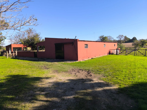 Venta Y Alquiler De Hermosa Chacra De 3 Dormitorios Con 3 Has Sobre Ruta 21