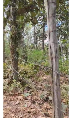 Amplio Terreno Para Cabañas En Los Alcanfores Sclc