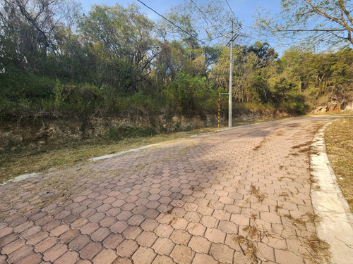Venta Lote Gladiola 31 Muy Cerca De La Entrada Y En Nueva Zona De Fracc Rancho San Diego Ixtapan De La Sal Edomex Con Todos Los Servicios Y Proyecto Incluído