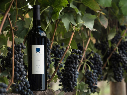 Imagen 3 de 3 de Vino Pozo De Luna Syrah 750 Ml
