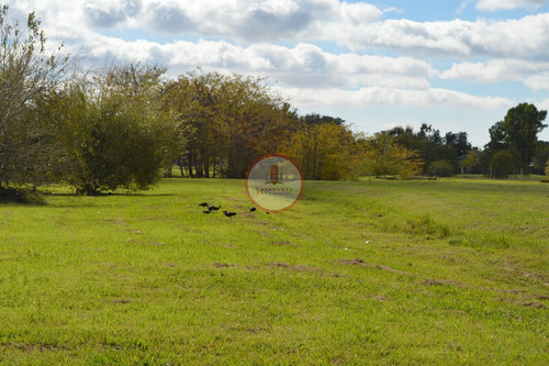 Imagen 15 de 30 de Terreno Lote En Venta Ubicado En Manuel B Gonnet, La Plata
