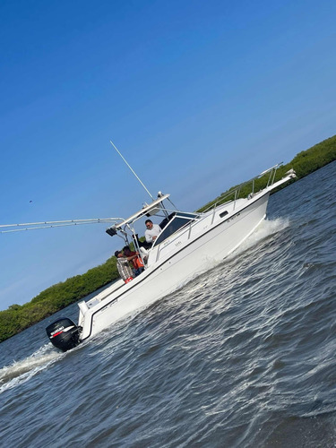 Yate Quest Modelo Saltfish 257 Walk Around