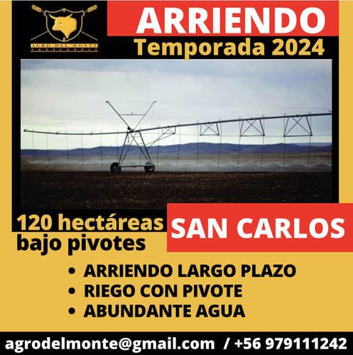 Campo Arriendo A Largo Plazo, 120 Ha Bajo Pivote, San Carlos