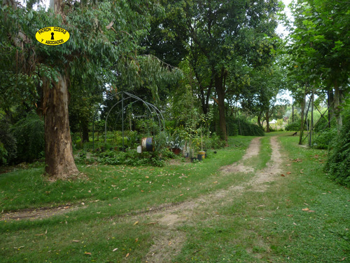 Imagen 27 de 29 de 1554ml-venta 20 Ha, C/ Casa En La Mejor Zona Polera