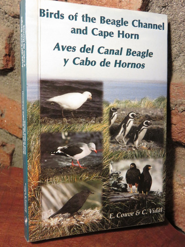 Aves Canal Beagle Cabo Hornos Mares Adyacentes Bilingue Foto