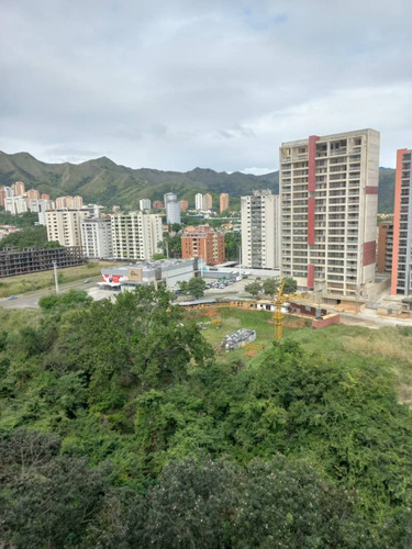 Apartamento En Res. Sinanaica, Los Mangos 