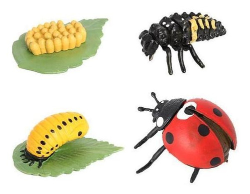 3 Accesorios Para El Aula Del Ciclo De Vida De Los Insectos