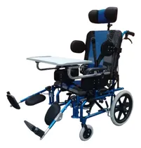 Comprar Silla De Ruedas Pediatrica-adulto Postural Con Mesa Carequip