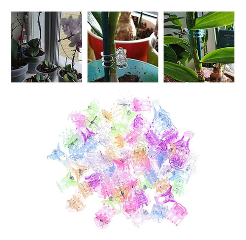 60 Piezas Clips De Orquídeas Clips De Soporte De Orquídeas