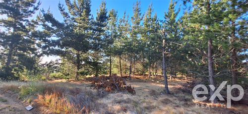 Vende Rebajado Parcela 1 Has Con Vista Al Mar, Pichilemu