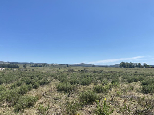 Imagen 16 de 17 de Chacra - Pueblo Edén