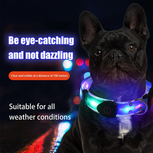 Collar Con Luz Led Para Perros Collar Con Luz Led Para Perro