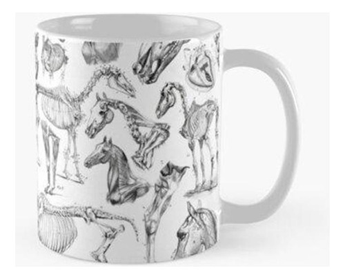 Taza Anatomía Del Caballo (negro Sobre Blanco) Calidad Premi