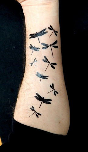 Tatuagens De Tatuagem De Silhueta Preta De Libélula E Borbol