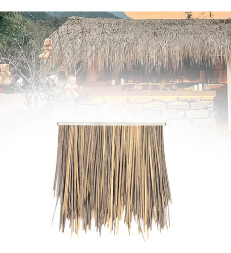 Aa Duck Boat Tiki Bar Grama Mini Bar Telhado Telhado De