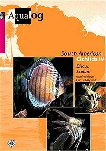 Aqualog Sudamericanos Ciclidos Iv Disco Y Angeles Edicion In
