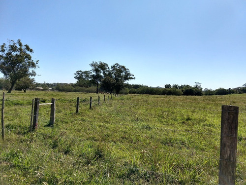 Chácara 20.000 M² - Costa Do Ipiranga - Gravataí - Rs - 1757 - 32430255