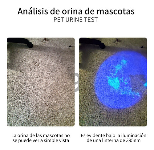 6pcs Linterna Uv Portátil Detector Billetes Falsos