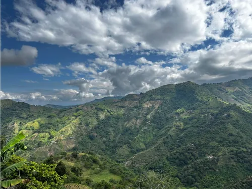 Se Vende Finca En Barragán