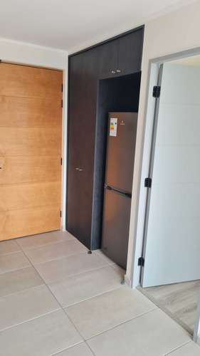 Arriendo Amoblado Nuevo Centro Concepcion (84964)