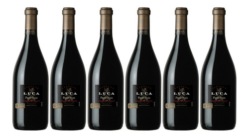 Vino Luca Pinot Noir X750cc Caja X6