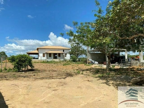 Imagem 2 de 10 de Granja A Venda Em Macaíba