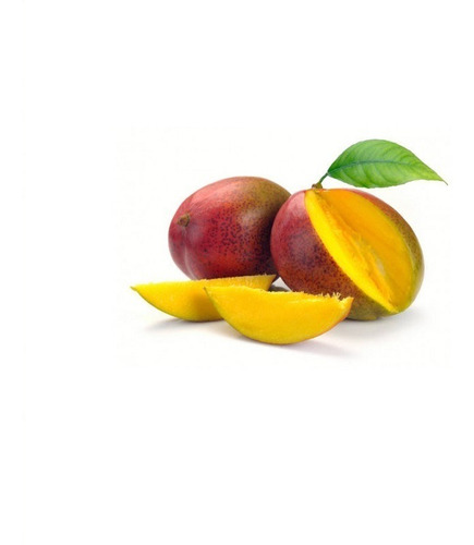 Manteiga de Manga pura 300g