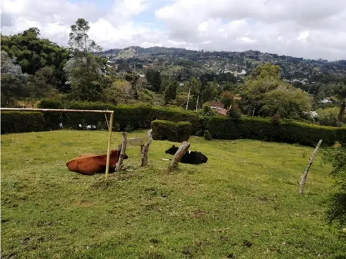 Finca En Vender En Guarne