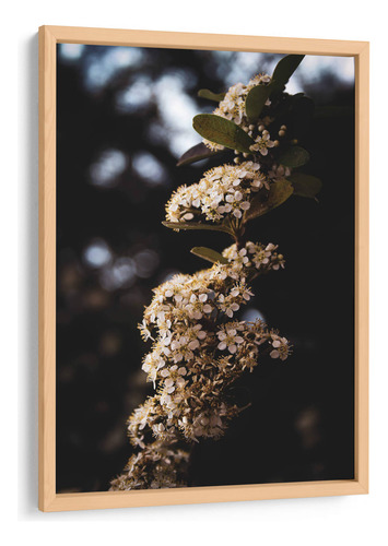 Cuadro Enmarcado Pino White Blooming Flowers 50x75
