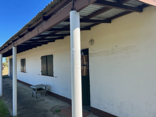 Imagen 14 de 30 de Campo 10 Has Y Media Con Casa Y Manantial Con Agua Permante. Consulte!!!!!!!!! - Zona Rural Zona Rural
