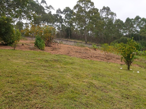 Imagem 15 de 29 de Oportunidade Chacara Biuna 2.000 M Casa,pomar,horta E Murada