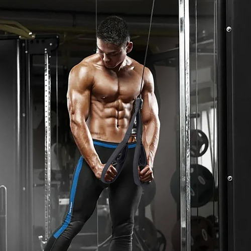 Polea De Fijación De Cable De Tríceps Equipos De Gimnasio Pa