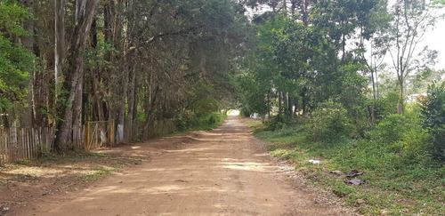 Imagem 3 de 6 de Chácara Para Venda Em Ponta Grossa, Colonia Dona Luiza - 144_2-1102965