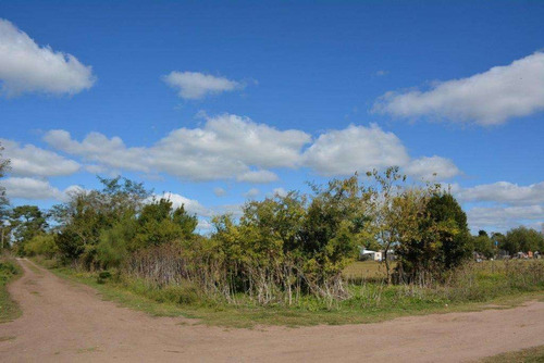 Imagen 5 de 10 de Chacra , En Madariaga !