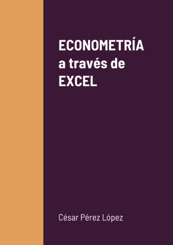Libro: Econometría A Través De Excel (spanish Edition)