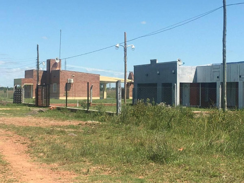 Imagen 2 de 4 de Vendo Terreno, Lote . Paso De La Patria 1000 M2. Acepto Camioneta Cómo Parte De Pago.