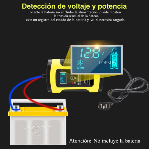 Imagen 10 de 10 de Cargador Rapido Bateria Auto Automatico 110 V A 220 V A 12 V