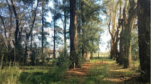 Terreno Fraccion  En Venta En Pilar, G.b.a. Zona Norte, Argentina