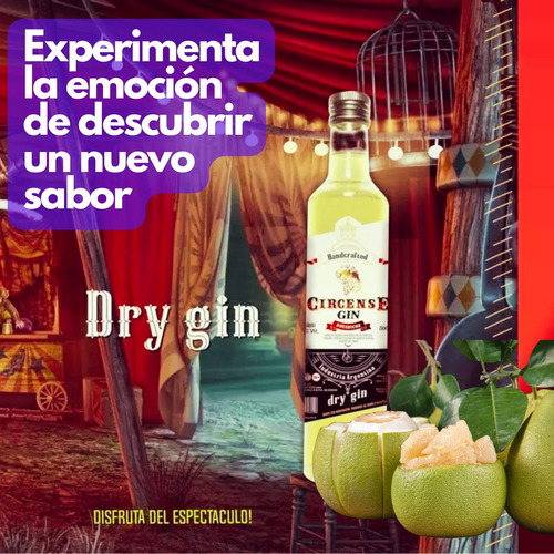 Gin Dry Botella Enebro 2 Botellas Circense Premium Gin Tonic