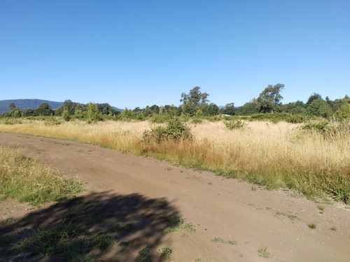 Parcela De 5000mtrs2, Sector Chucauco, Camino Vrca - Freire