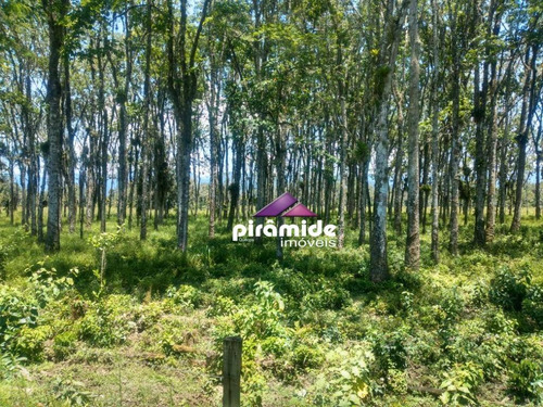 Imagem 2 de 3 de Excelente Área Com Escritura Definitiva Em Caraguatatuba - Ar0045