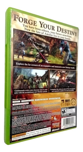 Kingdoms Of Amalur Reckoning Xbox 360 (Reacondicionado)