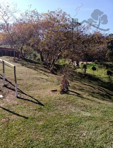 Imagem 5 de 15 de Cod 5997 - Sítio Com 20 Alqueires Em Miracatu-sp - 5997