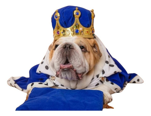 Capa De Rey Para Perro Incluye Corona Envío Gratis