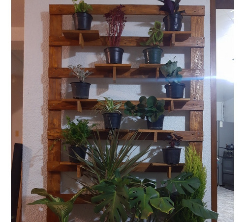 Huerto En Pared