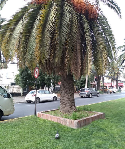 Imagen 11 de 12 de Casa Comercial En Venta De 2 Dorm. En San Miguel