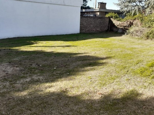 Imagen 5 de 7 de Terreno En Álvarez